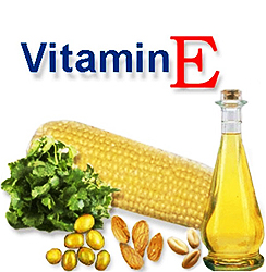 Витамин Е и его применение